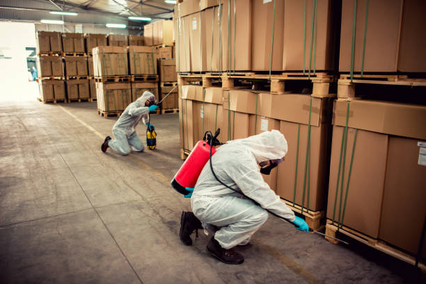 Best Pest Removal Services  in Demarest, NJ