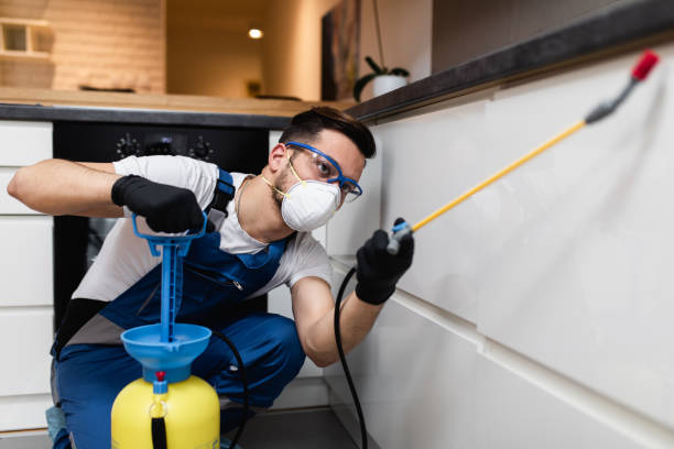 Best Best Pest Control Companies  in Demarest, NJ