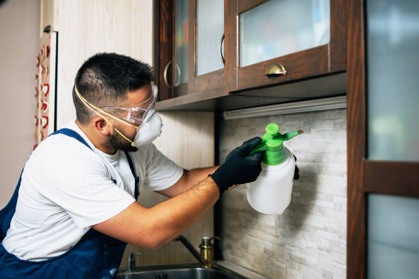 Best Commercial Pest Control Services  in Demarest, NJ