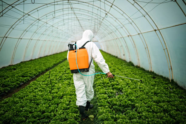 Best Affordable Pest Control Services  in Demarest, NJ