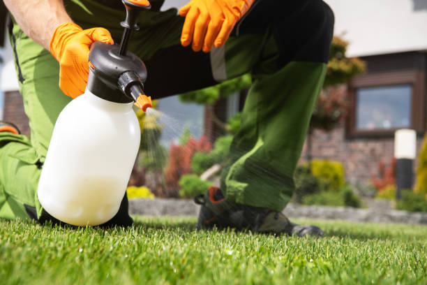 Best Local Pest Control Services  in Demarest, NJ