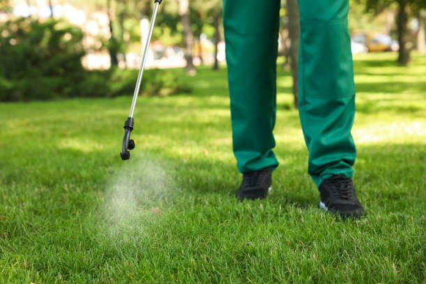 Best Rat Extermination Near Me  in Demarest, NJ