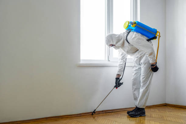 Best Rat Extermination Near Me  in Demarest, NJ