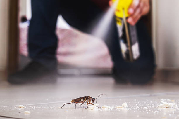 Best Emergency Pest Control  in Demarest, NJ