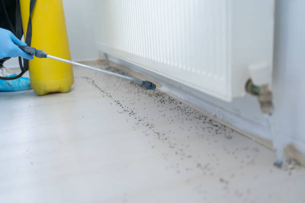 Best Exterminator Services  in Demarest, NJ