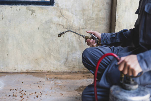 Best Affordable Pest Control Services  in Demarest, NJ