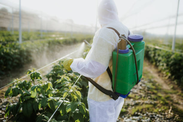 Best Wasp Removal Services  in Demarest, NJ